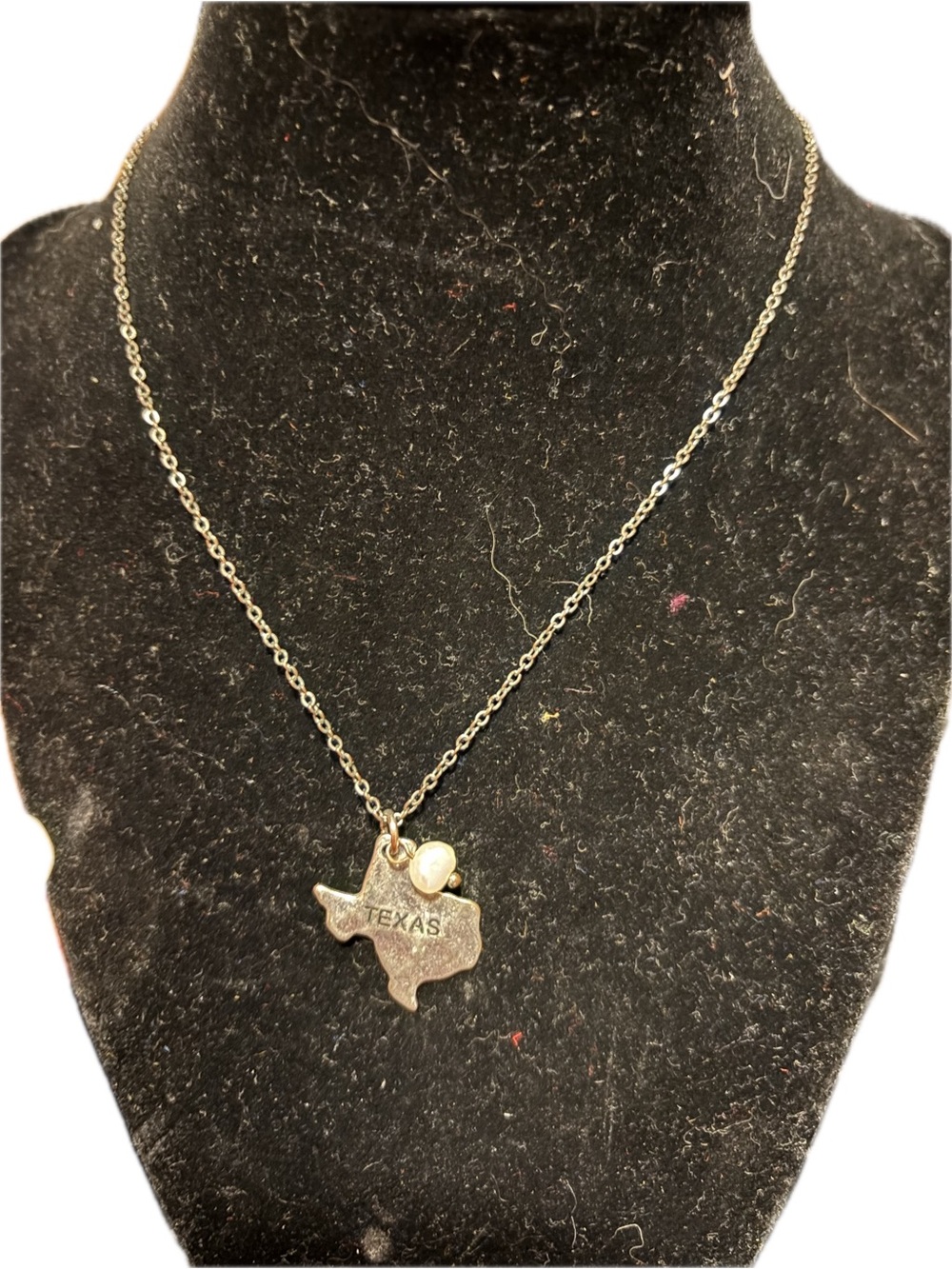 Texas State Pendant Necklace in Silver